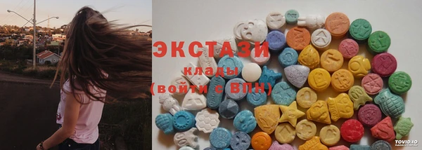 гидра Михайловка