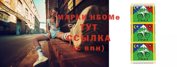 гидра Михайловка