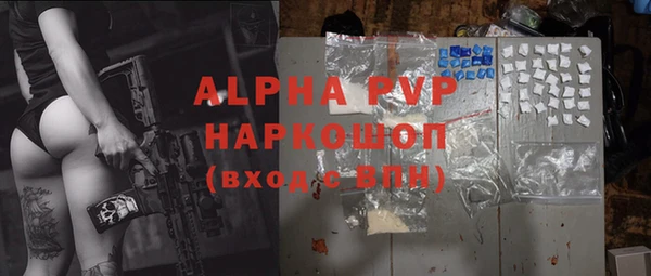 PSILOCYBIN Михайлов