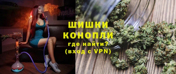 гидра Михайловка