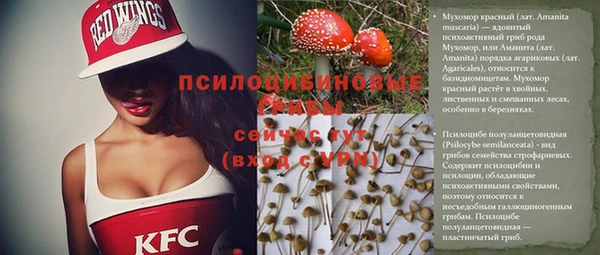 стафф Медвежьегорск